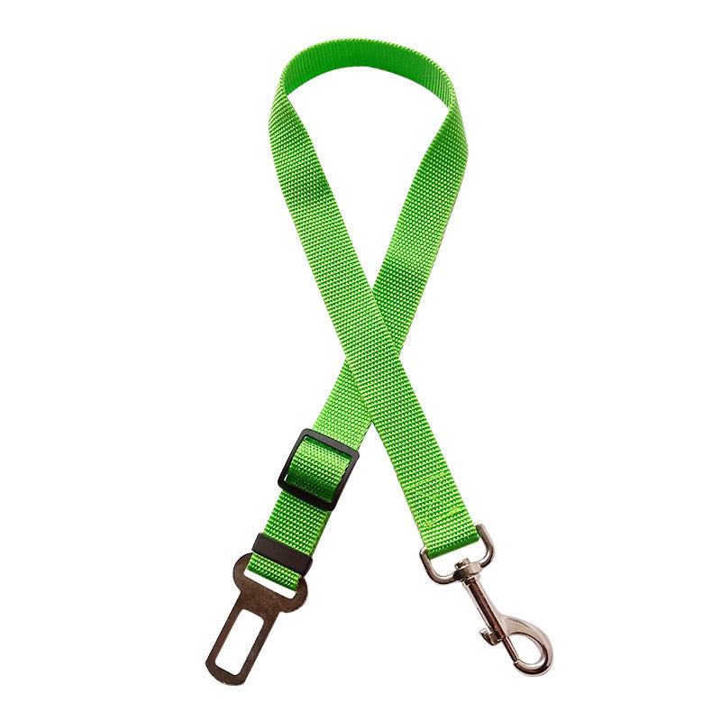 Nuvica™ SafeBuckle