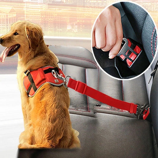 Nuvica™ SafeBuckle