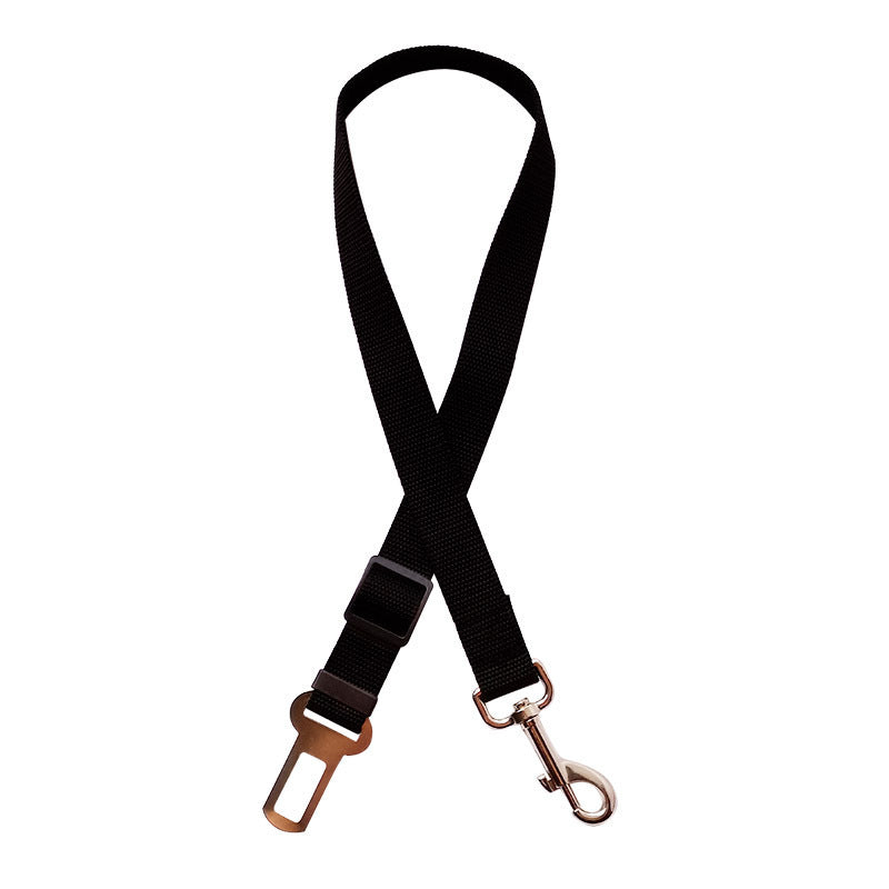 Nuvica™ SafeBuckle
