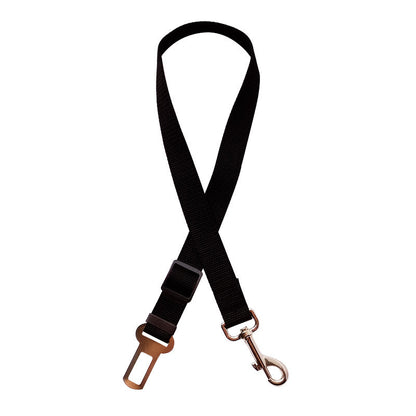 Nuvica™ SafeBuckle