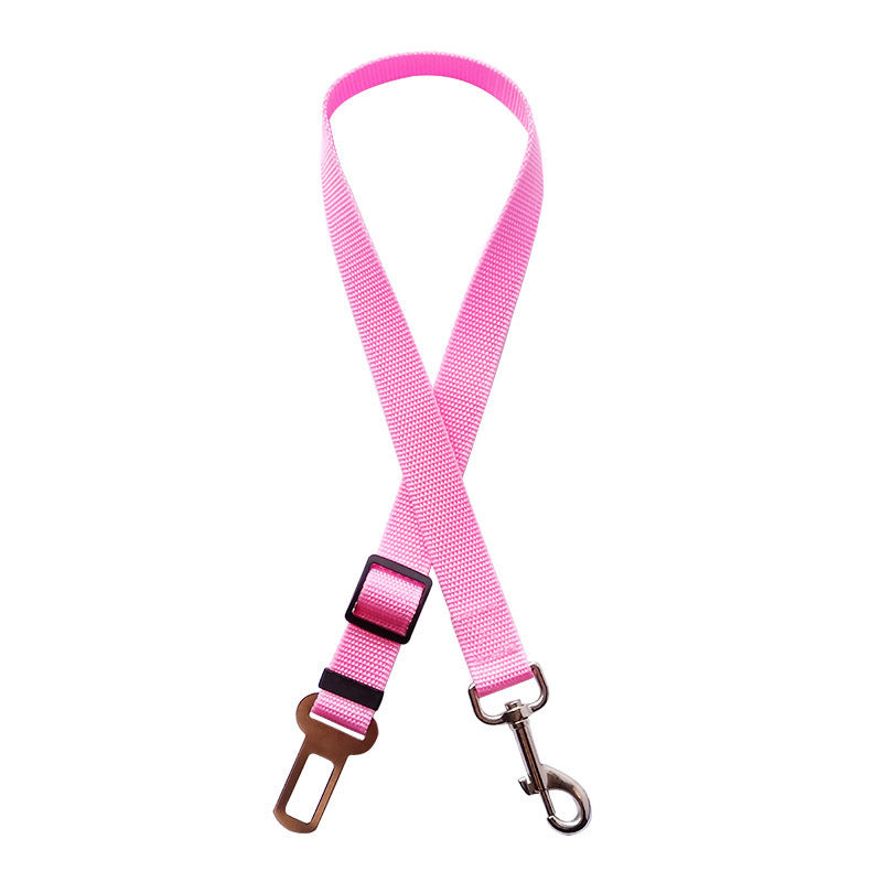 Nuvica™ SafeBuckle