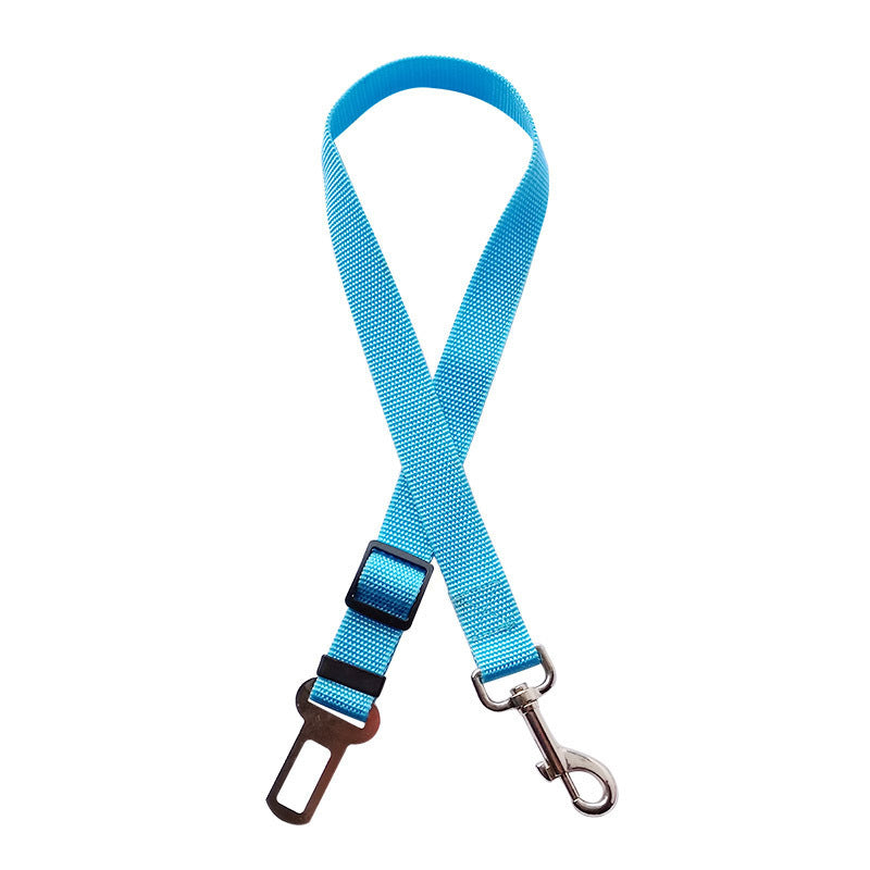 Nuvica™ SafeBuckle