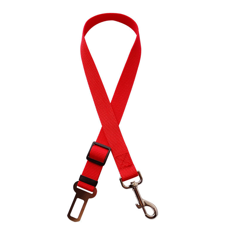 Nuvica™ SafeBuckle